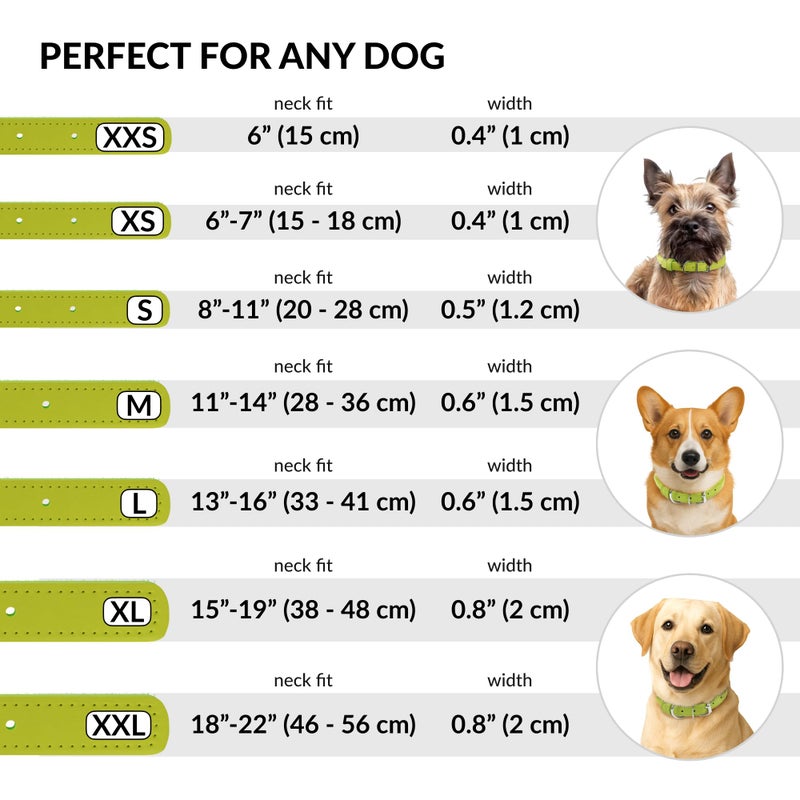 CollarDirect Rolled Leather Dog Collar, Soft Padded Round Puppy Collar, Handmade Genuine Leather Collar Dog Small Large Cat Collars 13 Colors (18-22 Inch, Lime Green Textured) - Image 4